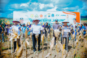 Mentan Amran Umumkan Insentif Rp5 Triliun untuk Serap Jagung Petani: Produksi Tembus Rekor!