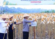 Kapolda DIY Lakukan Panen Jagung dan Serahkan Alat Mesin Pertanian di Kulon Progo