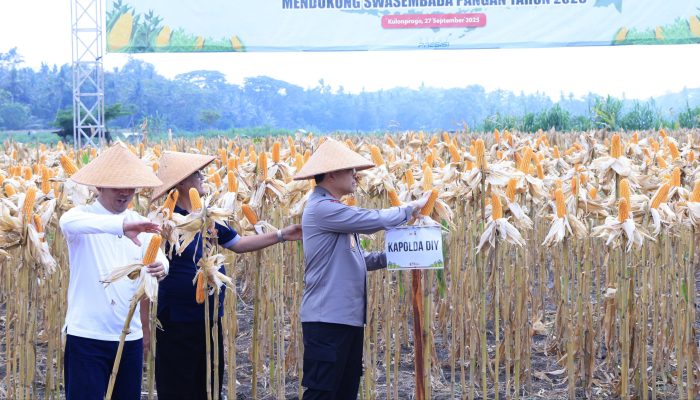 Kapolda DIY Lakukan Panen Jagung dan Serahkan Alat Mesin Pertanian di Kulon Progo