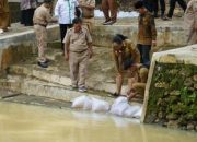 Telaga yang Sempat Kering Kini Hidup Kembali di Ujung Gunungkidul