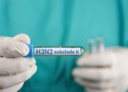 Kasus Influenza H3N2 Terkendali, Kemenkes Tekankan Kewaspadaan