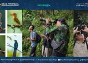 Bird Watching Jatimulyo, Surga Burung Kulon Progo