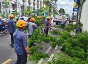 MAS KRISNA dan Wajah Baru Kesiapsiagaan Kota Yogyakarta
