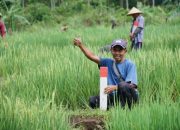 Mudik Lebaran, Warga Jogja Diingatkan Jaga Batas Tanah