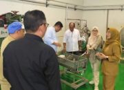 BPTTG DIY Dorong Inovasi Limbah Daun Bambu Bernilai Ekonomi