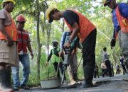 Kulon Progo Genjot Perbaikan Jalan di 12 Kapanewon