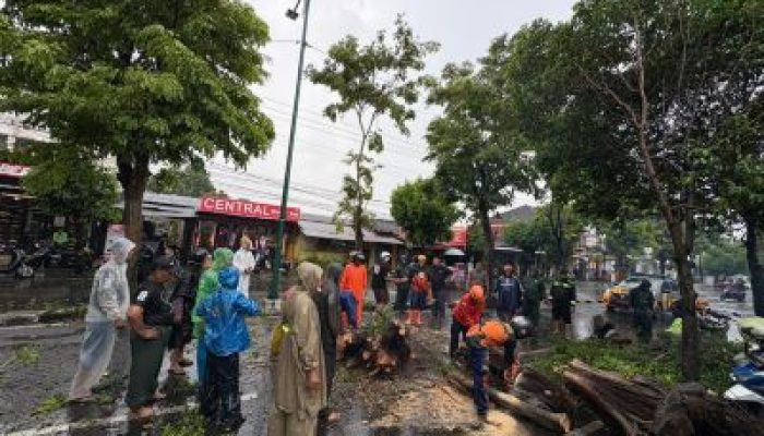 Cuaca Ekstrem Jogja, BPBD Siagakan TRC 24 Jam