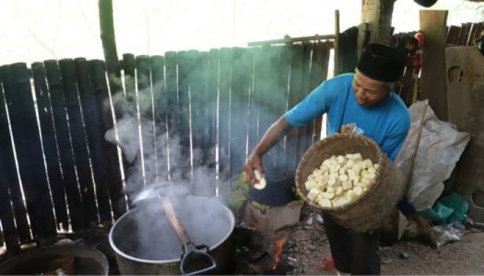 Tape Singkong Watugedug, Denyut Ekonomi dari Dapur