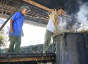 Minyak Atsiri Dlingo Dorong Ekonomi Warga Bantul