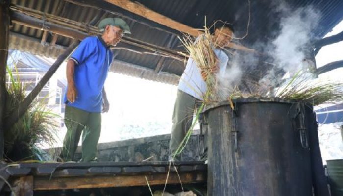 Minyak Atsiri Dlingo Dorong Ekonomi Warga Bantul
