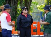 Korve dan Tanam Pohon, Gunungkidul Perkuat Mitigasi Bencana