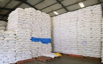 Ekspor Beras Indonesia Tembus Saudi, Stok Nasional Aman