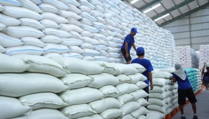 Swasembada Pangan Menguat, Akademisi Lihat Dampaknya