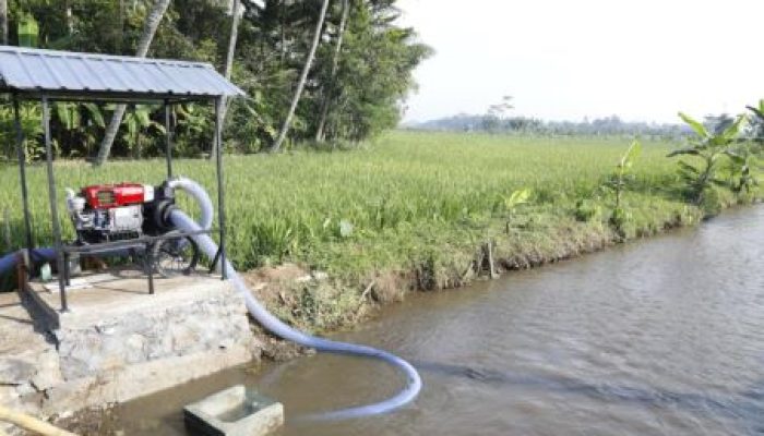 Kemarau 2026, Pompanisasi Jaga Produksi Petani