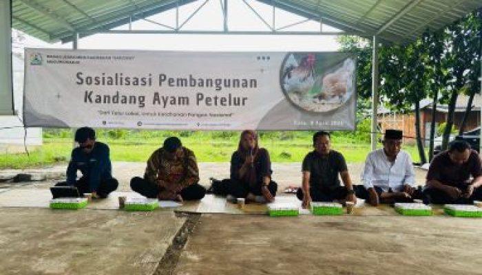 Integrated Farming Maguwoharjo Perkuat Ketahanan Pangan