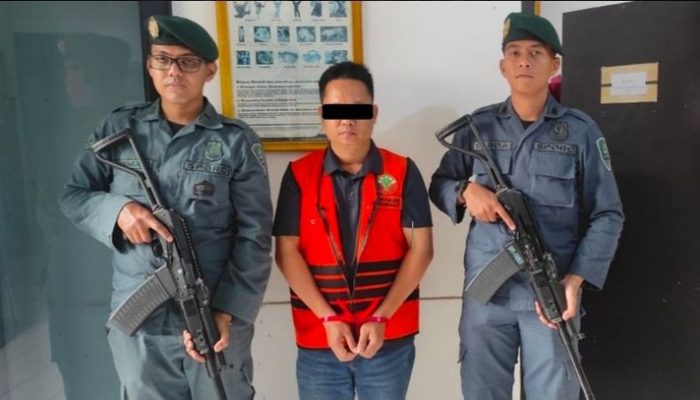 Penyelundupan Sisik Trenggiling Terbongkar, 796 Kg Disita